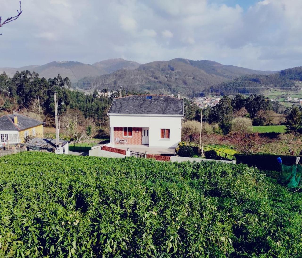 Casa Familiar Con Finca Privada مْبيفيرو المظهر الخارجي الصورة